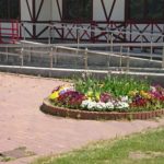 百合が原公園散歩