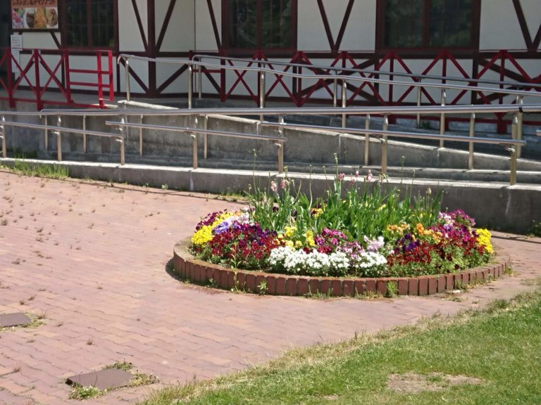 百合が原公園散歩