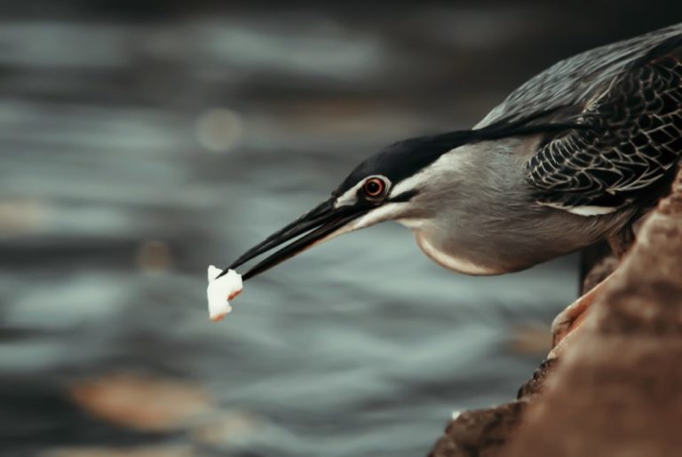 集中力について独り言