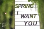 ビル・エヴァンス　【You Must Believe In Spring】