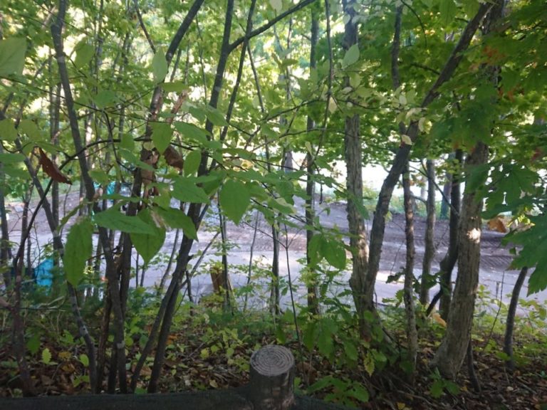 近所の西岡水源池散策しようと思ったけれど