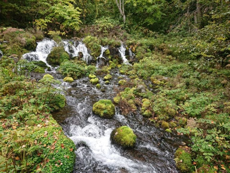 紅葉の取材に蝦夷富士の眺められる京極町へ向かったものの…。