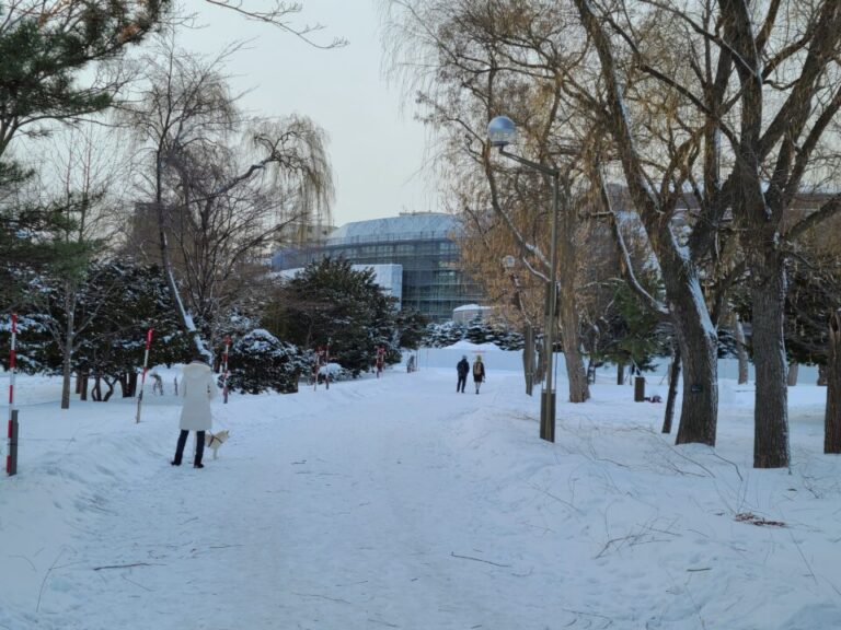 冬の札幌中島公園の散歩