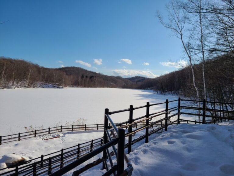 冬の西岡水源池に行ってみた
