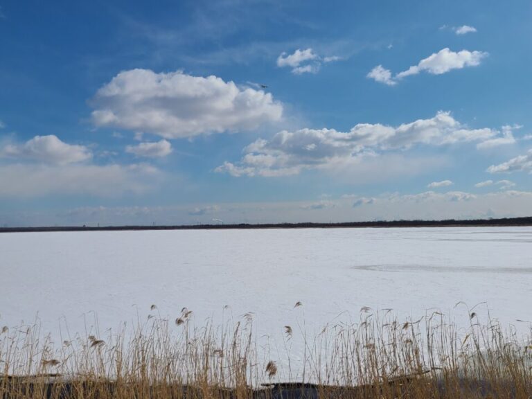 冬のウトナイ湖へ行ってみた