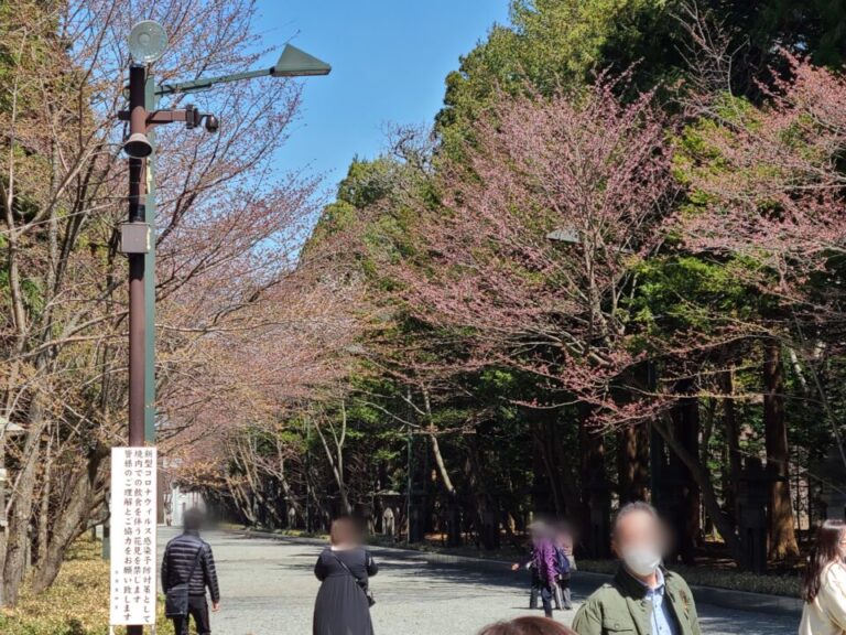 桜がそろそろ、咲きそうな季節になってきた