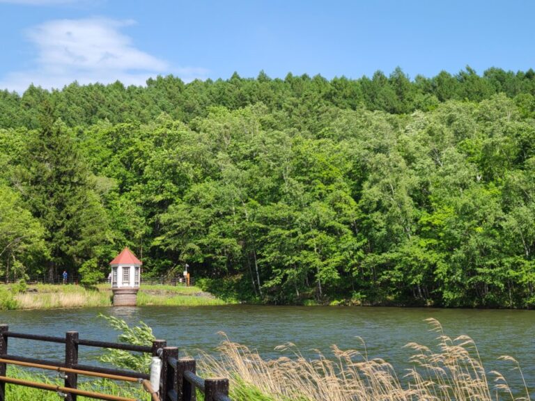 緊急事態宣言中ですが西岡水源池の散策