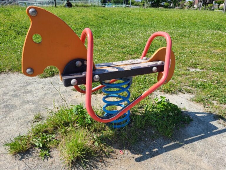 公園にある謎の遊具　スプリング遊具