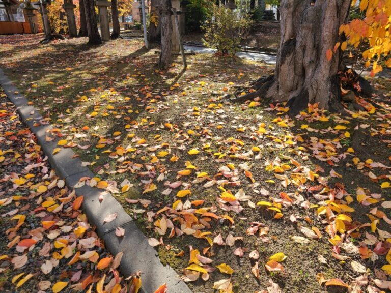 本当は毎日ブログを書いてみたい