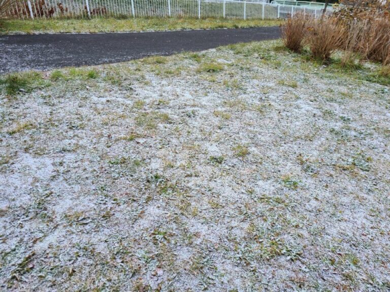 ちっとも雪が降らない