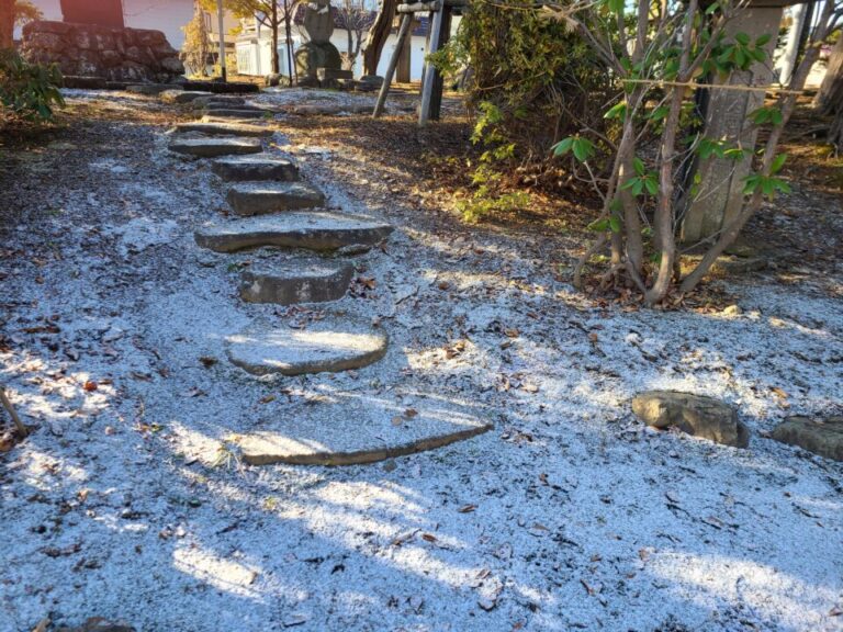 影と雪のシンクロ