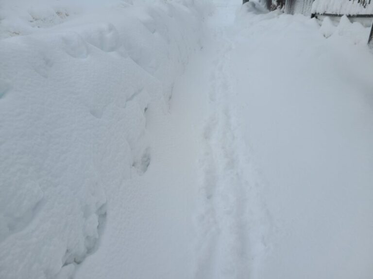 北海道にも1月に重たい雪が積雪