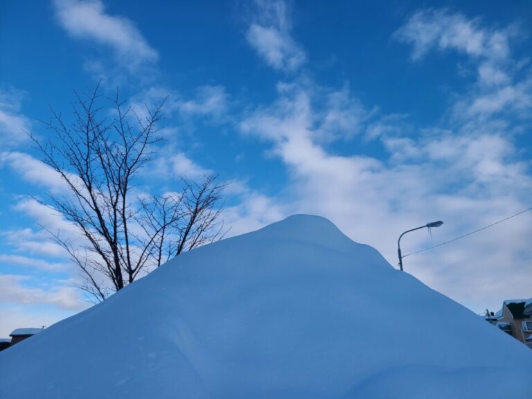 2022年2月6日札幌記録的大雪　24時間で60cm積雪