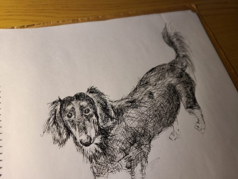 久しぶりに付けペンで描いてみた