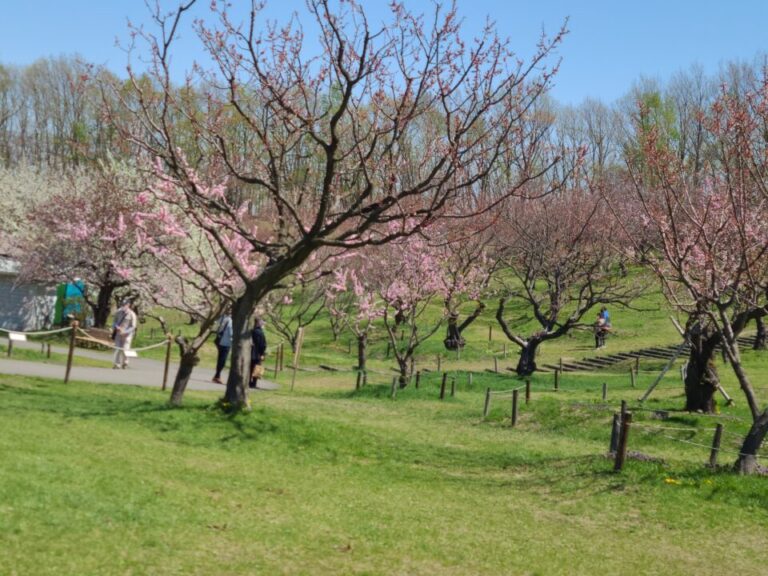平岡梅林公園に行ってみた