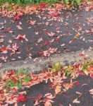 気ままにブログは続けます