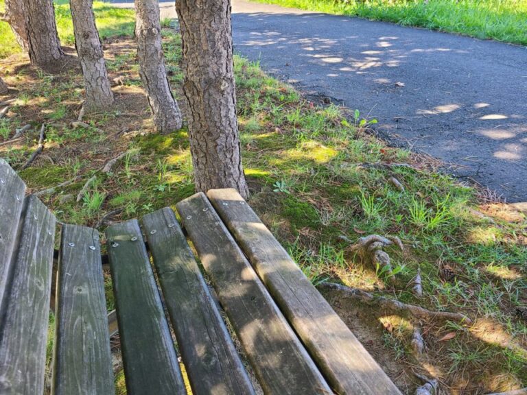 近所の遊歩道の散歩