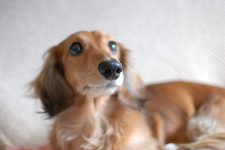 CDデータの写真をクラウドにアップロードして断捨離してみた