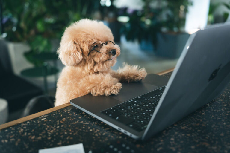 Simplenoteを試しに使ってみた