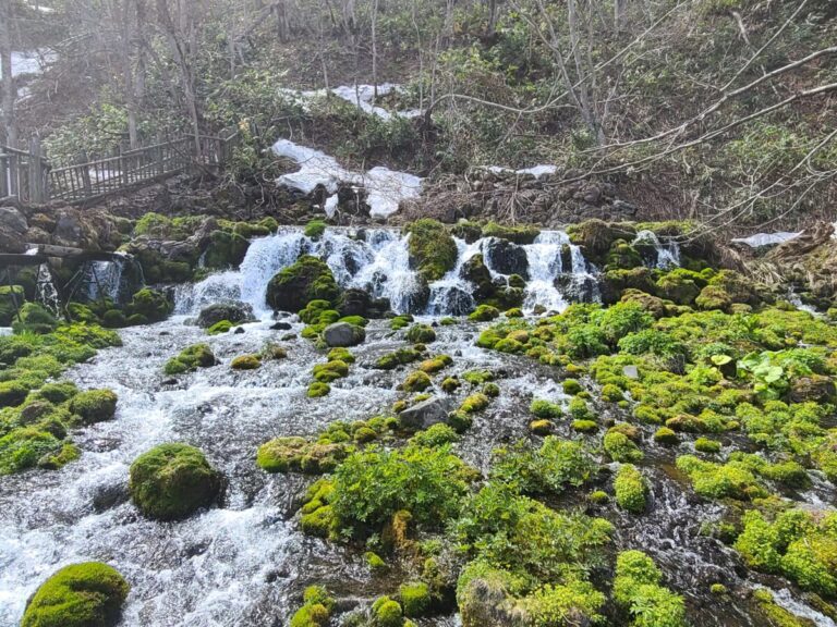 久々にドライブ「京極町」