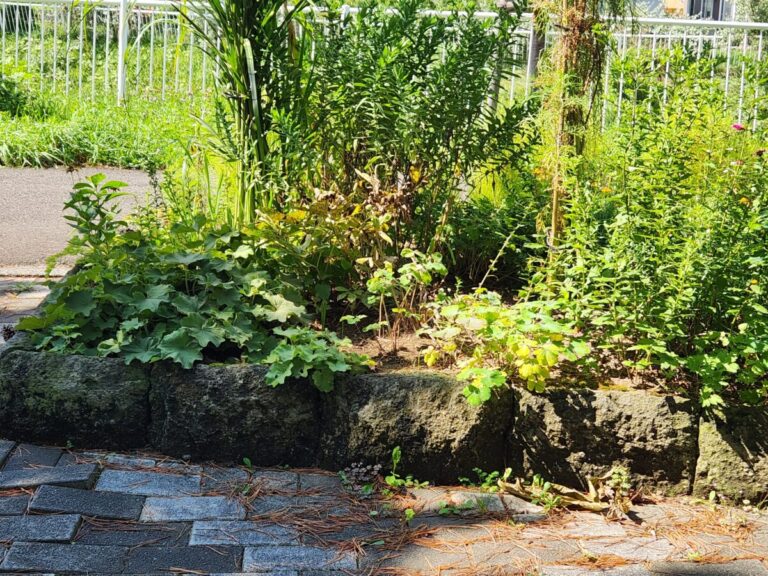 夏も終わりになってきたな