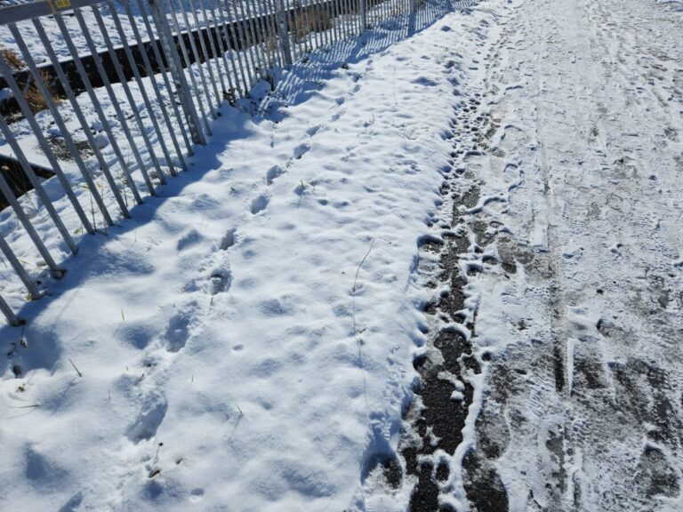 今年も冬到来　犬の足跡見つけた。