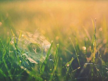 このサイトにPWAを実験的に実装してみました