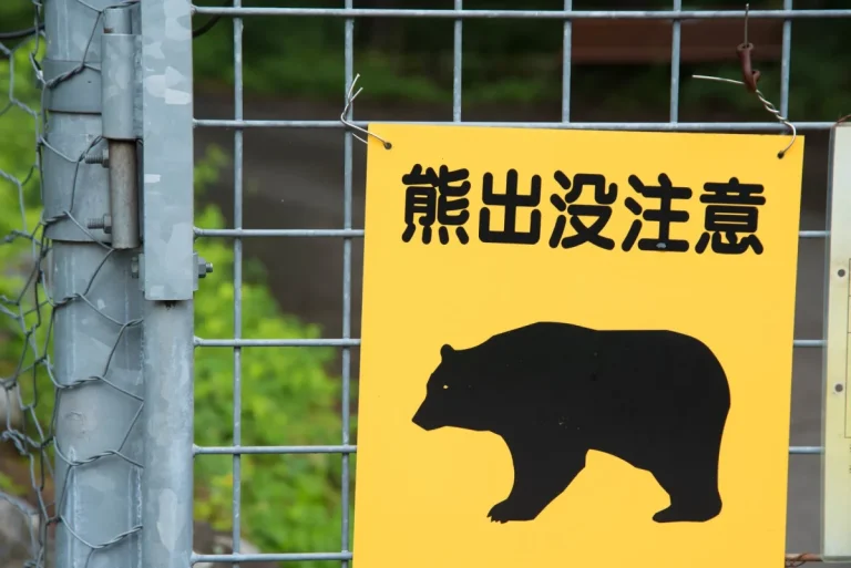 苫前町郷土資料館へ行きたいな