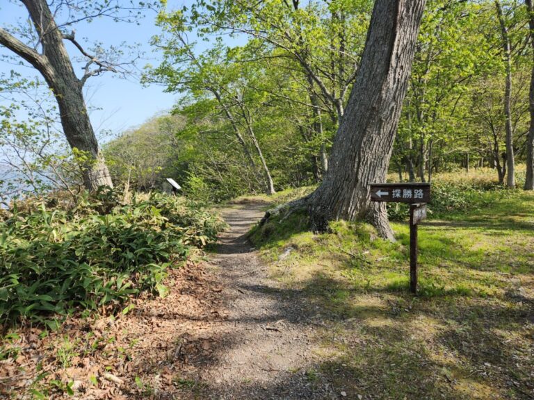 和琴半島：火山が生んだ神秘の半島を散策してみた