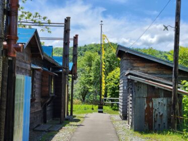 健康について現在実行していること