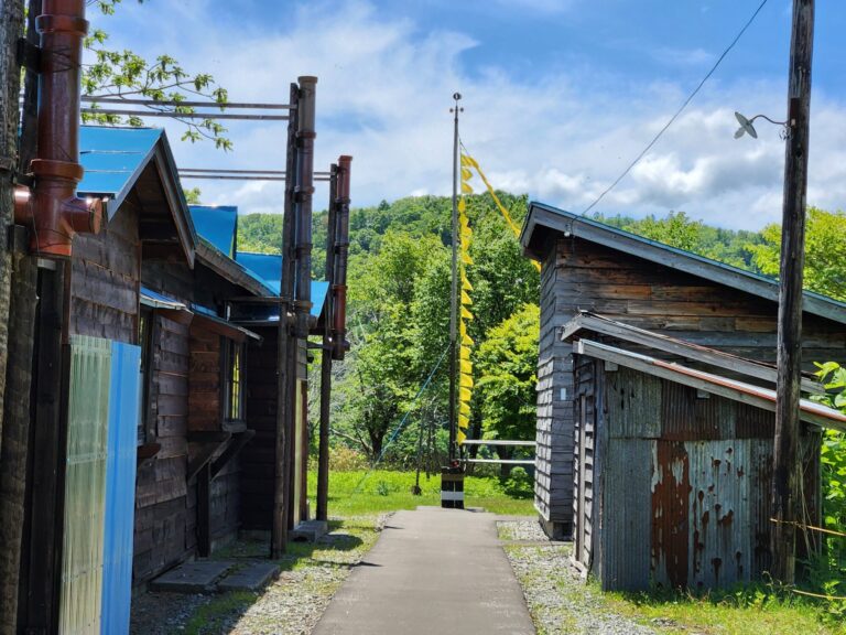 健康について現在実行していること