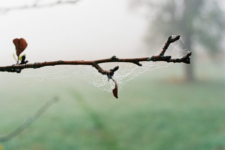 ニコラス・ペイトン「Relaxin’ With Nick」