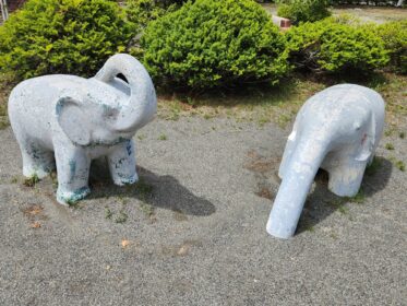 緑豊かな街を歩く喜び