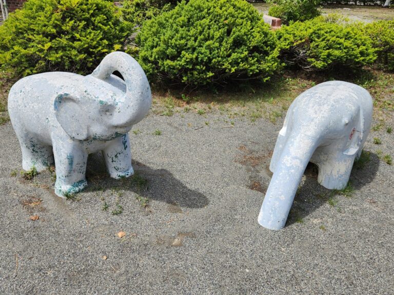 緑豊かな街を歩く喜び