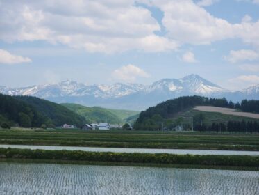 天気予報と相談しながら…弾丸美瑛ドライブ！